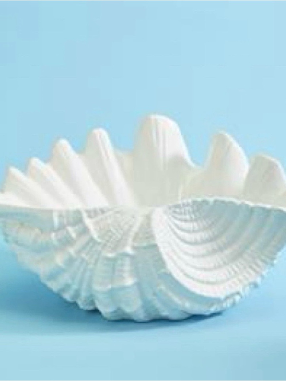Large Decorative Ceramic Clam Shell Bowl/ Coastal Nautical Accent/ 15.25” Across